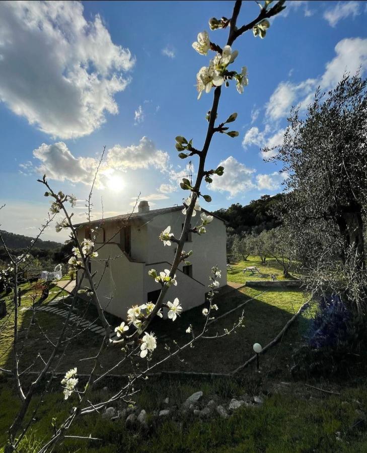 Agriturismo Il Sorbo Appartamento Menta Sticciano Esterno foto