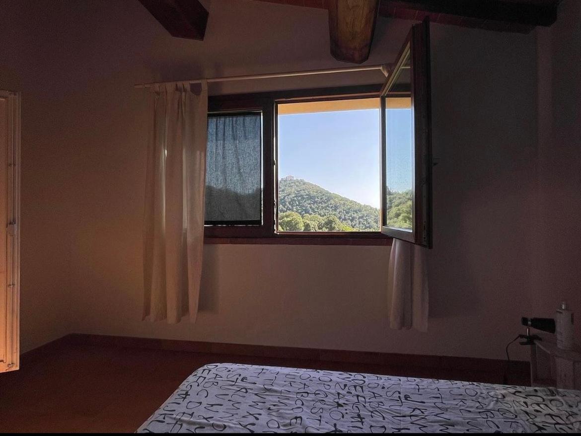 Agriturismo Il Sorbo Appartamento Menta Sticciano Esterno foto